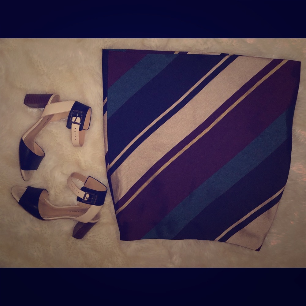 Ann Taylor skirt
